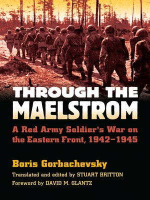 cover image of Through the Maelstrom